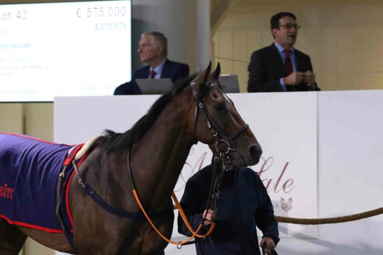 Rocchigiani wurde in Hong Kong in Flaming Rabbit umgetauft