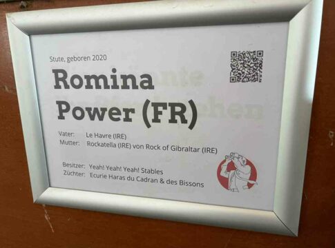Wie Romina Power Romina Power möglich machte