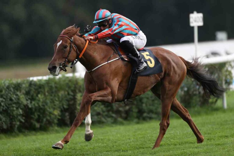 Paulicks Rosa vor den Dreijährigen