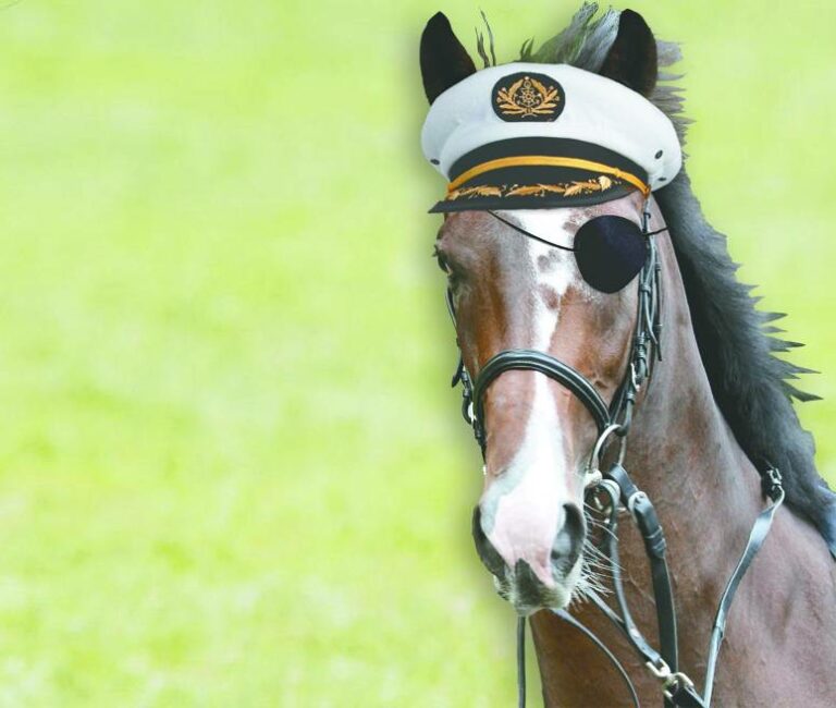 Alaris (Fotomontage)