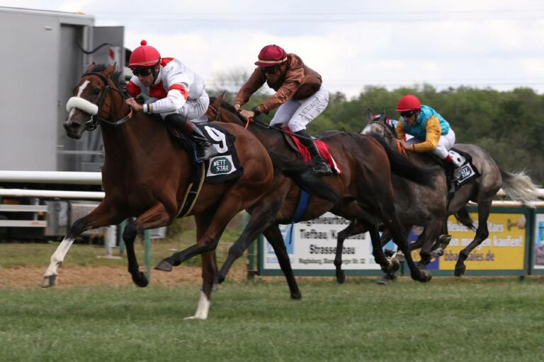 India (li.) wird in Paris oder Woodbine starten