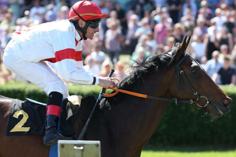 Grafenberger Derby Trial zu – 11 Nennungen