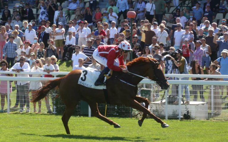 Saffron Beach (Hemke)