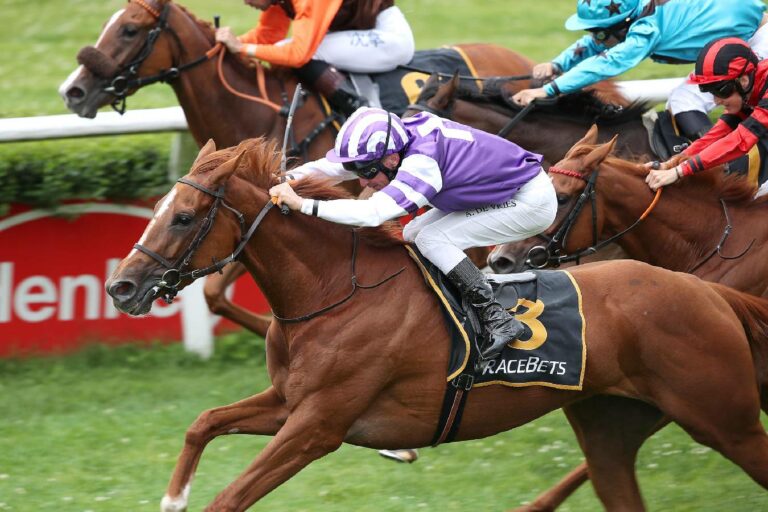 Salve le Meer Nichtstarterin im Zastrow-Preis