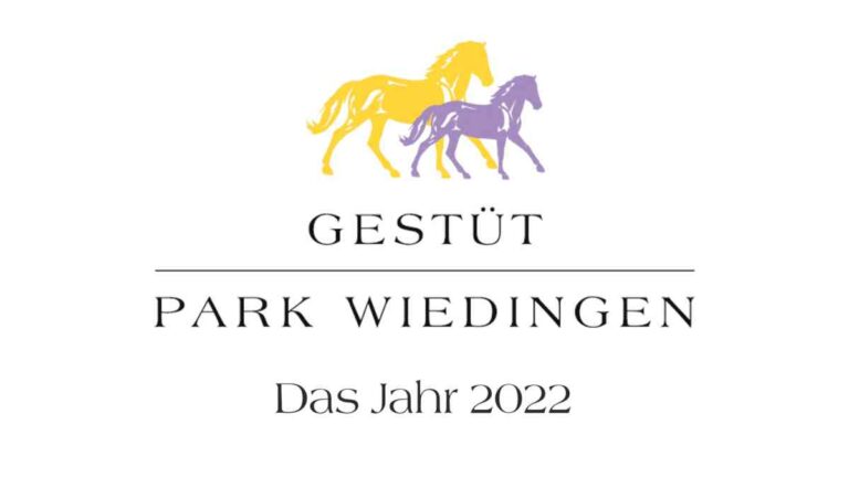 Gestüt Park Wiedingen Jahresrückblick im Video
