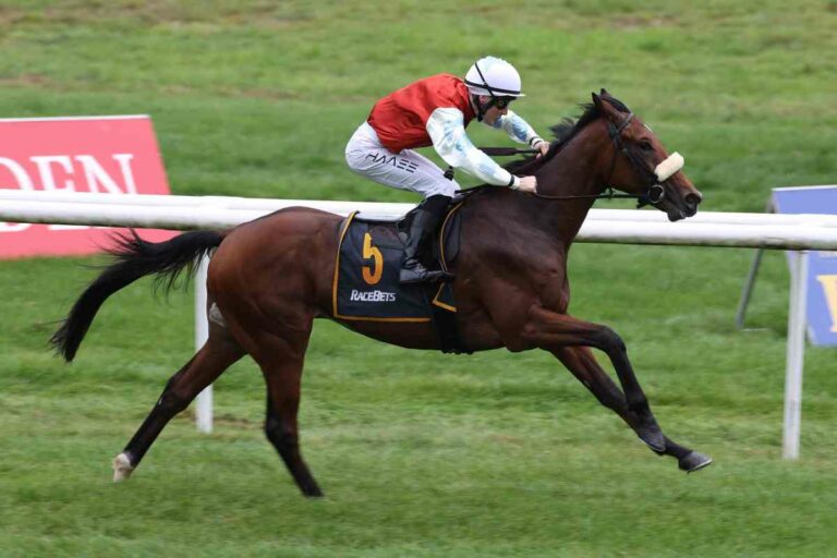 Auch Sarasto wurde nachgenannt