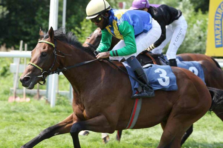 St. Moritz: Chevalex-Duo am zweiten Renntag