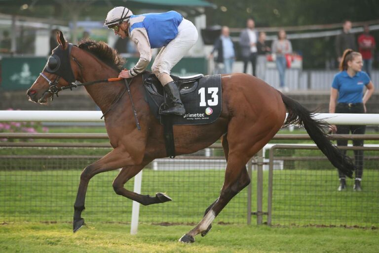 Bereits drei Nichtstarter für zweiten Weihnachtstag