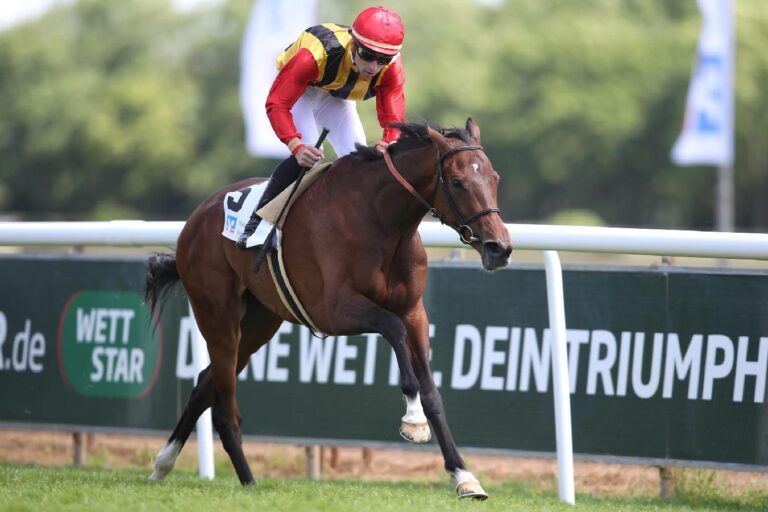 Gibt es ein Wiedersehen mit Sentimental Mambo?