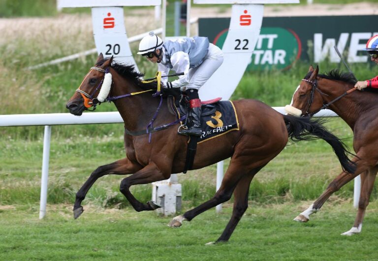 Adelresorts Shymay mit Adrie de Vries in Meydan