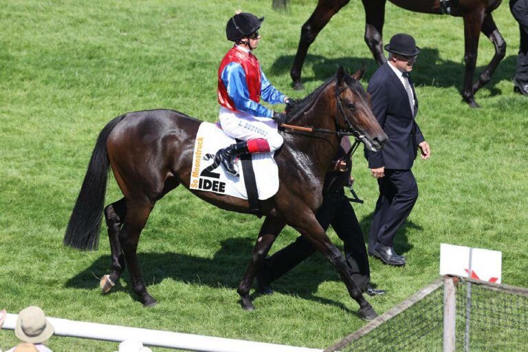 Noch zehn im Bavarian Classic