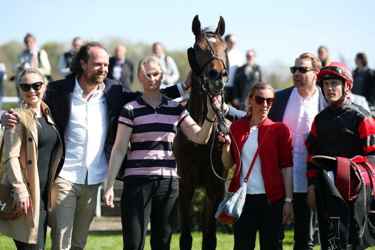 Der Stall Lilofee mit Gedöns