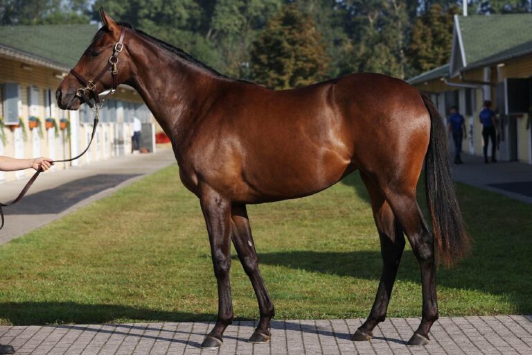 Start Me Up als Jährling