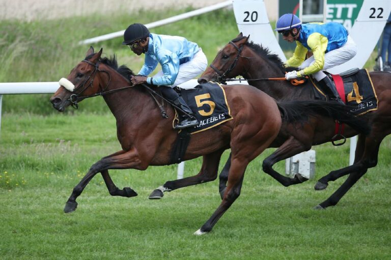 Sweet Pro und Eduardo Pedroza sind wieder ein Team