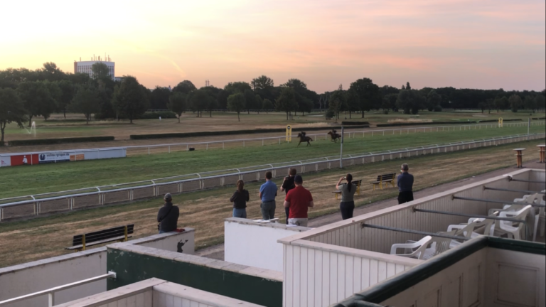 Torquator Tasso bei der Morgenarbeit
