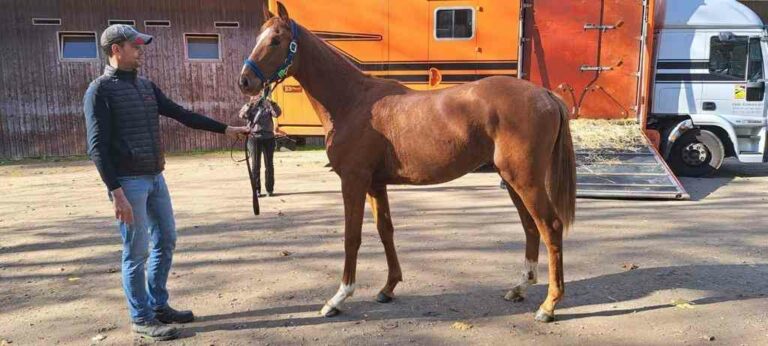 Marcel Weiß mit Tiamo Hilleshage