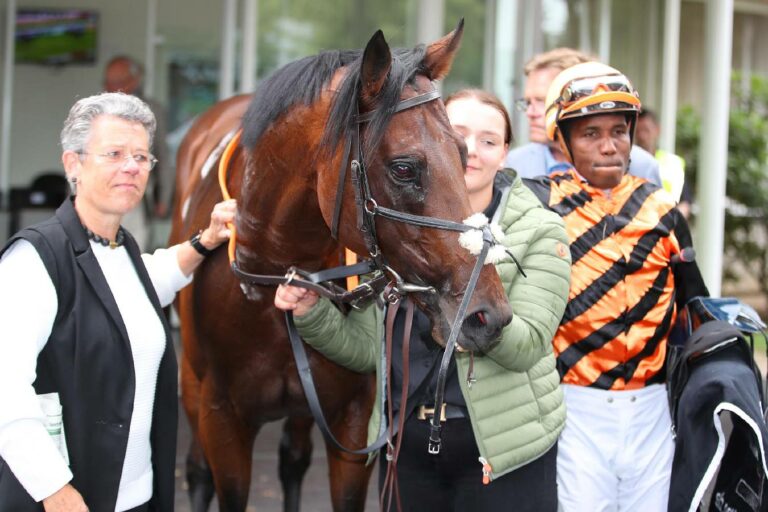 Timotheus und sein Team