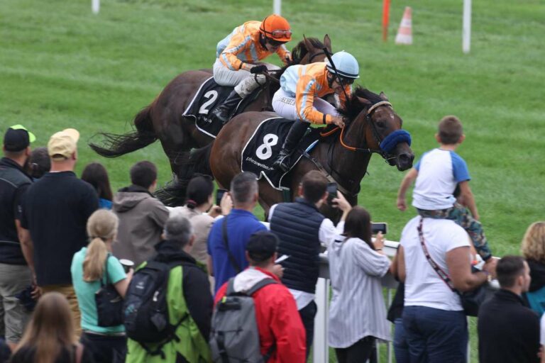 Tommorah siegt vor Jungle Spirit