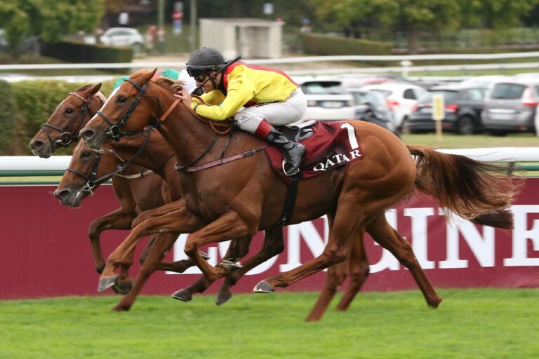 Torquator Tassos Comeback: Sechs Gegner?