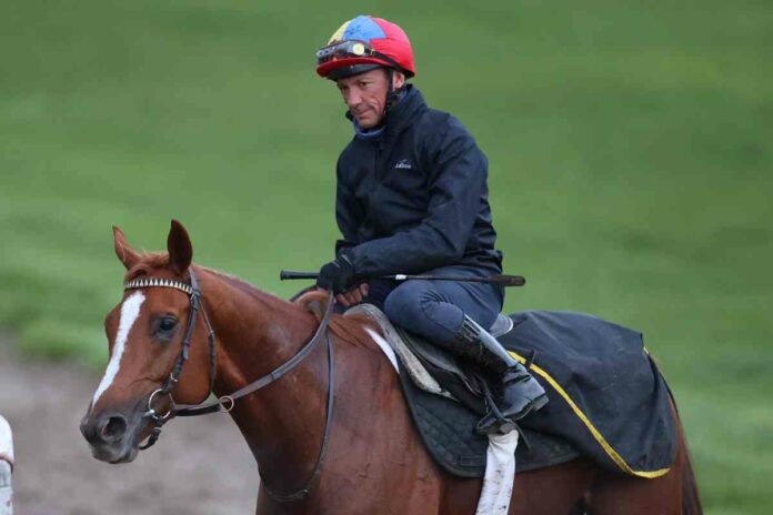 Nach der Morgenarbeit mit Frankie Dettori Nach der Morgenarbeit mit Frankie Dettori