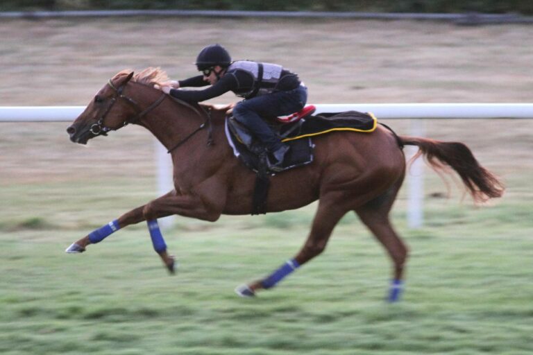 Torquator Tasso unter Rene Piechulek 