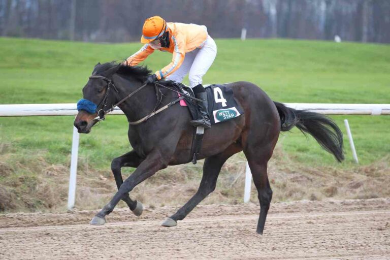 Die flinke Vinnare und die 18 Kilo – Das lukrative Sand-Handicap