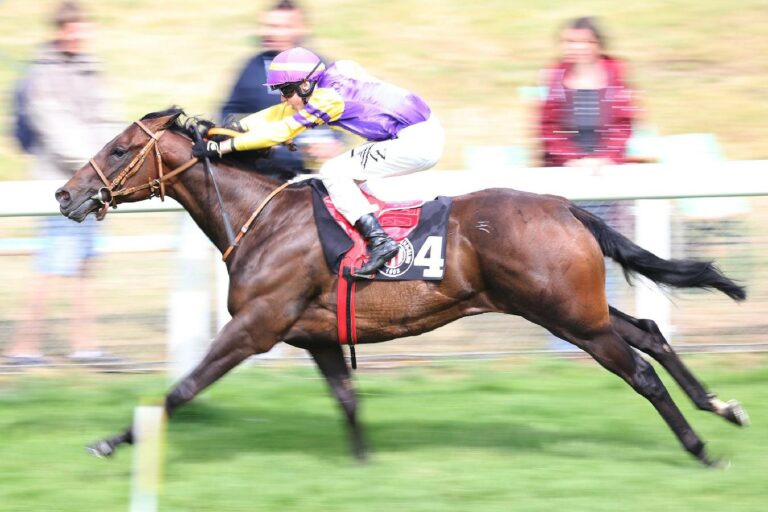 Auch in Krefeld steht ein Sparkassen-Renntag an