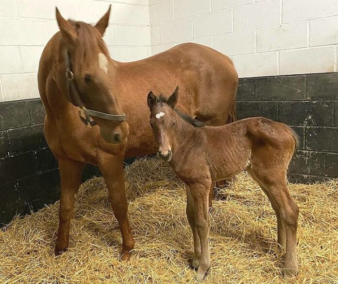 wonderful_frankel_04032022
