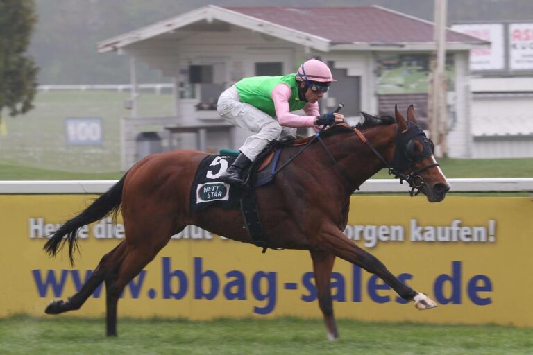 Zandjan unter Michael Cadeddu