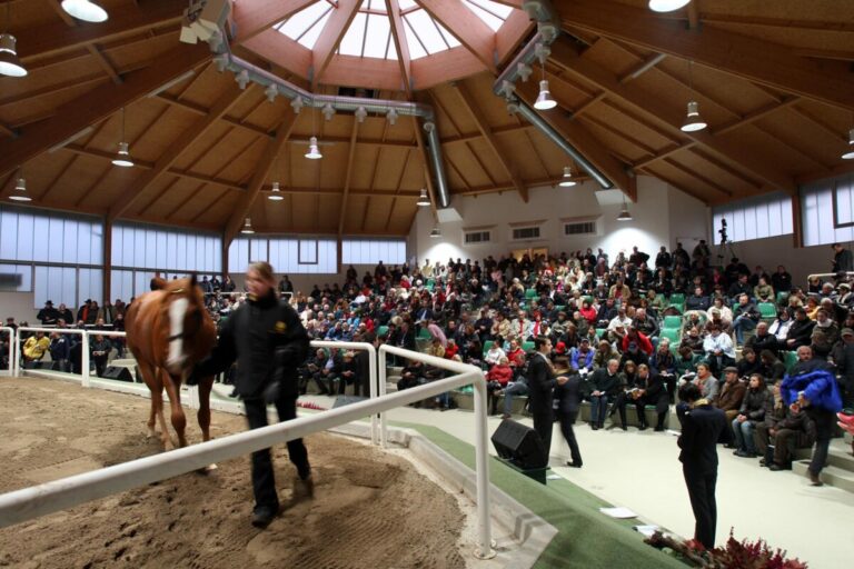 Blick in die Halle der BBAG