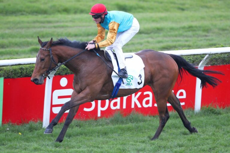 „Kassada, eine Stute für die großen Black Type-Rennen“