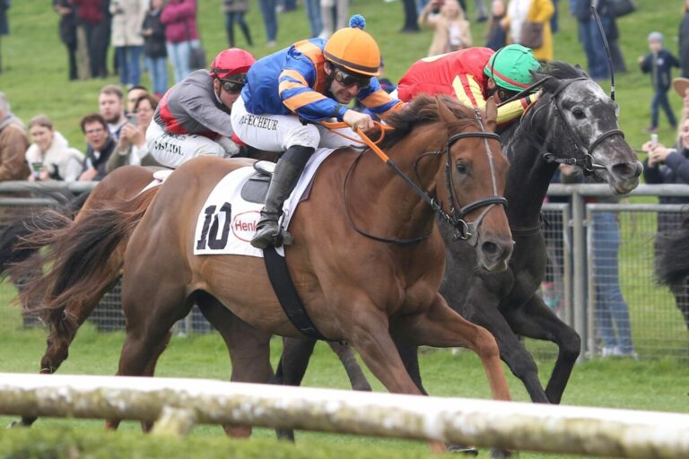 Rennpferd Lion Hunter und Jockey Maxim Pecheur