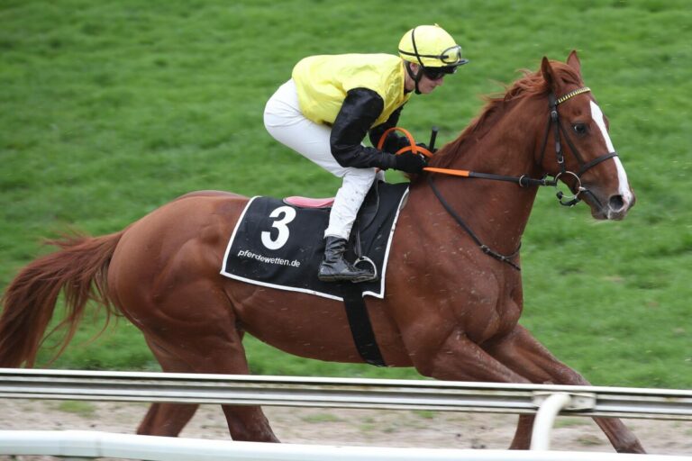 Sport-Welt TV Wett-Check für heute München