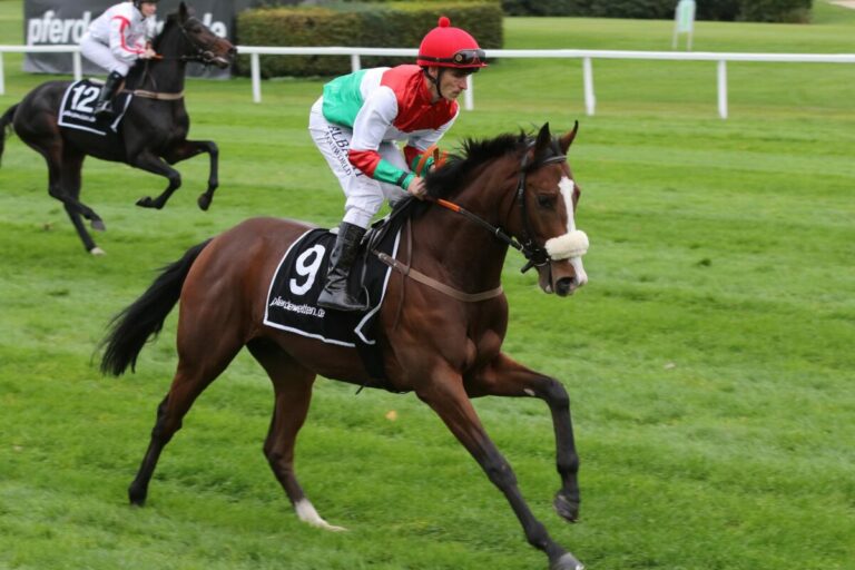 Sport-Welt TV Wett-Check für Magdeburg am 22.4.