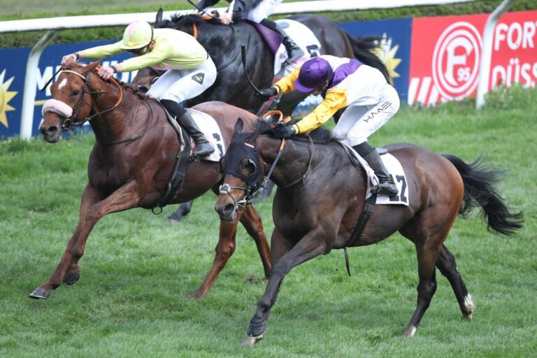 See Hector siegt unter Lukas Delozier in der Kalkmann-Frühjahrs-Meile, Gr.3