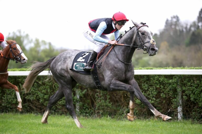 Karlshofer Someone You Loved nach England verkauft