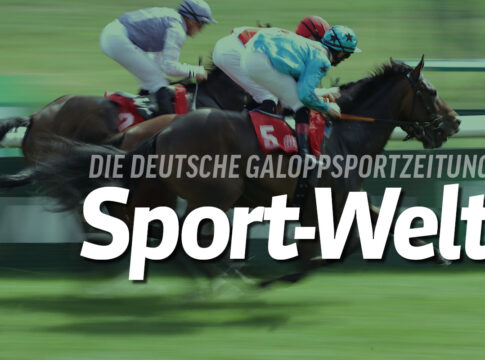 Sport-Welt Image