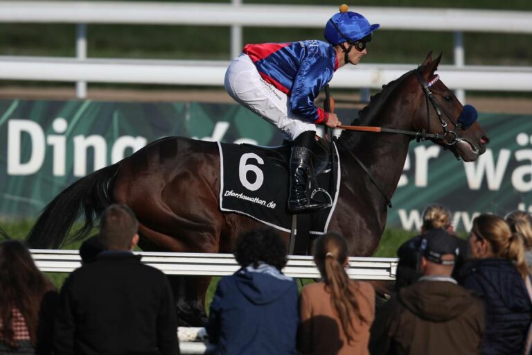 Assistent enttäuscht im Grand Prix de Deauville