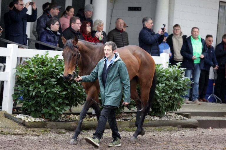 Die Frühjahrspräsentation der Turfsyndikat-Pferde