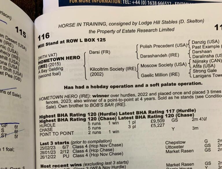 Recke kauft vier Pferde bei Tattersalls Ascot