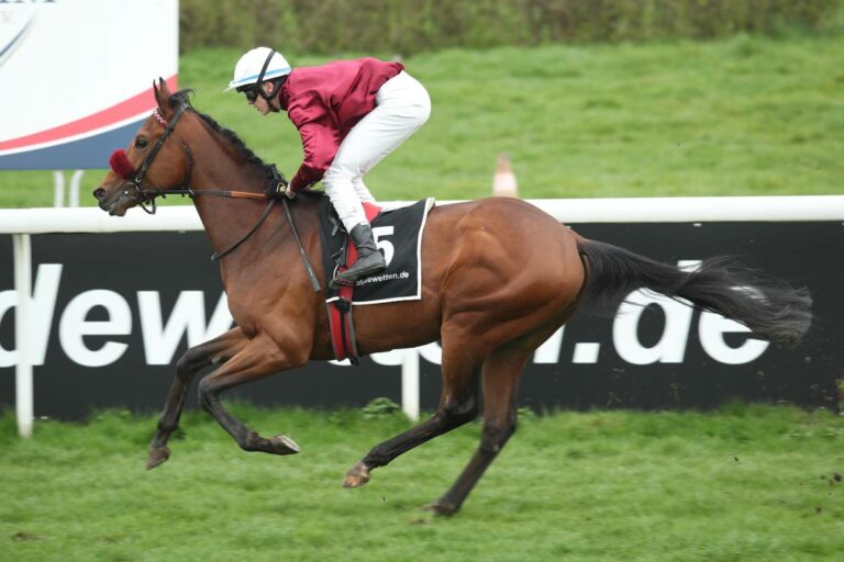 Mr Hollywood ein „TDN Rising Star“