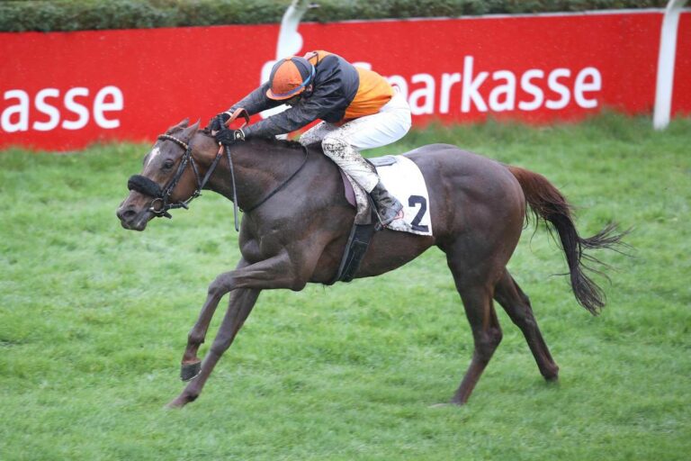 Saint Cloud