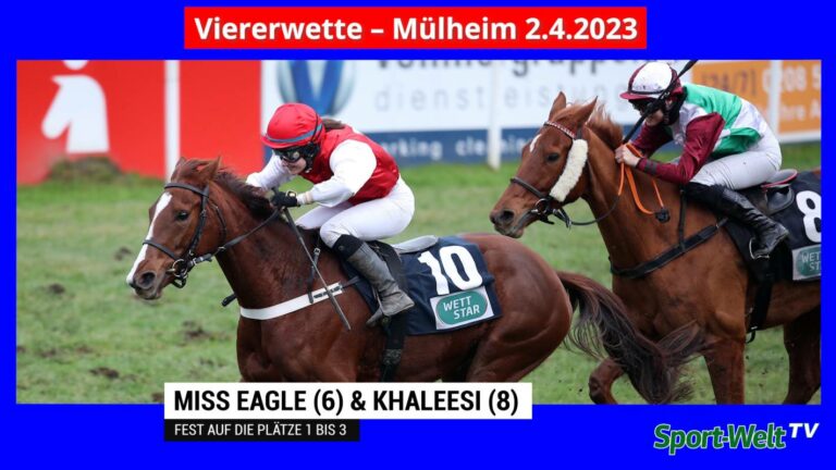 NEU: Wett-Check Spezial zur Viererwette