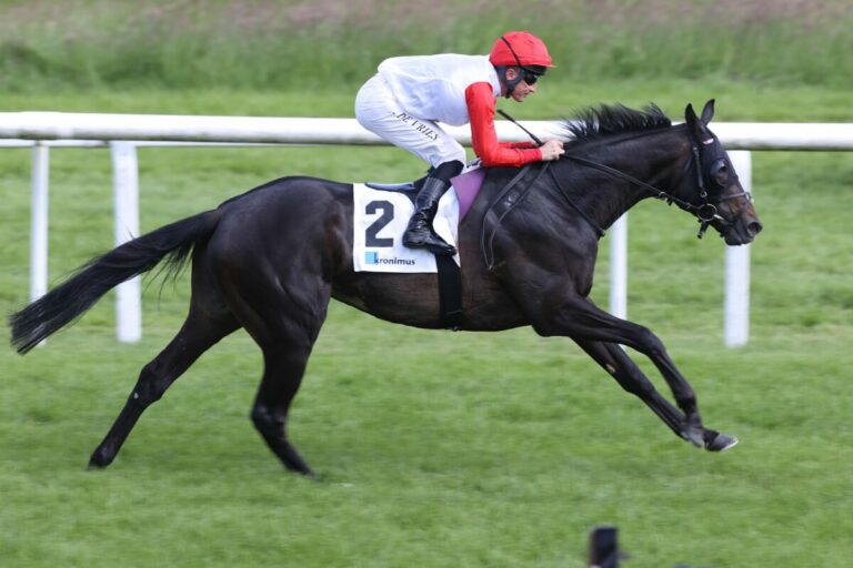 Calif unter Adrie de Vries (Archiv)