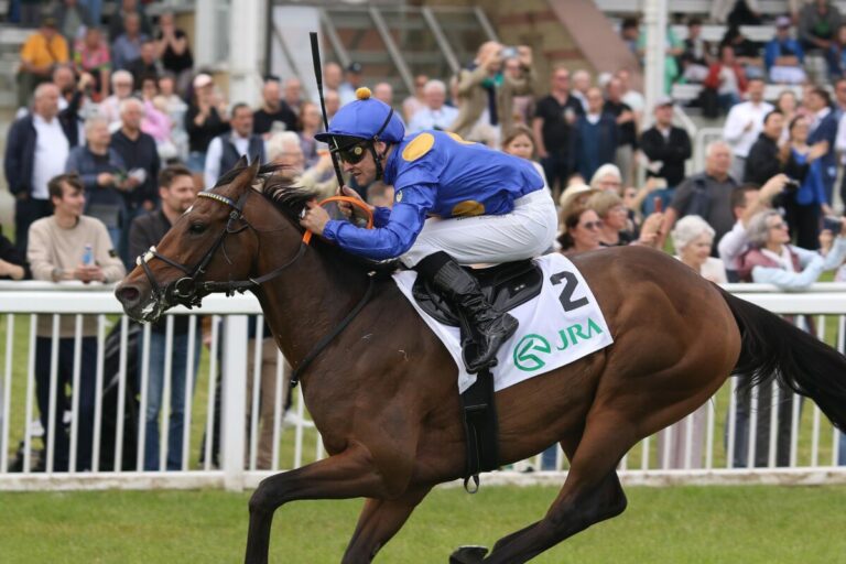 Fantastic Moon siegt unter Rene Piechulek im Japan Racing Association Derby-Trial
