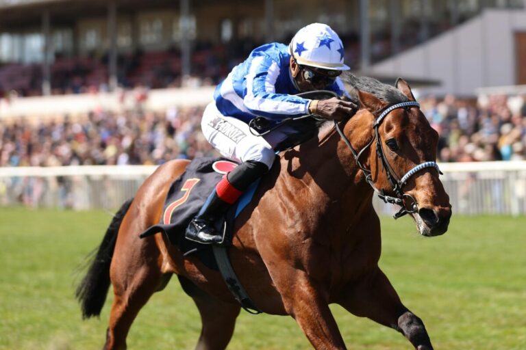 Way To Dubai siegt uter Eduardo Pedroza