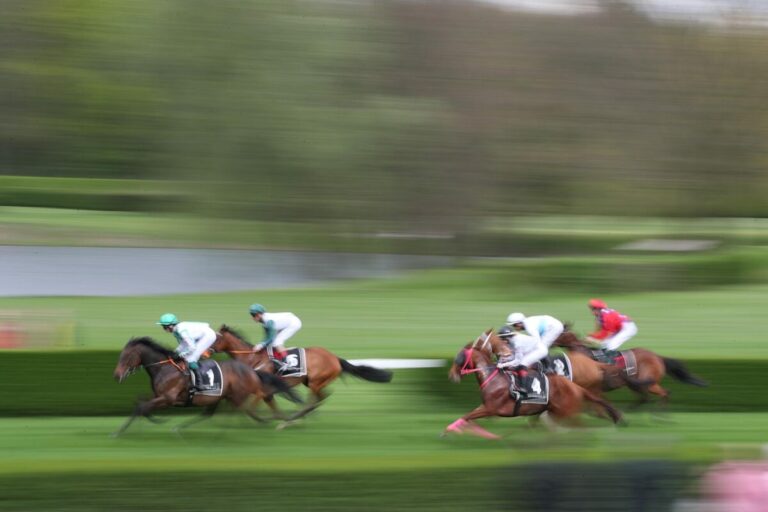 Hier ist Ihr Ritt des Monats November 2023