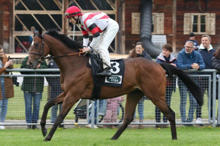 Top-Leistungen: Merkur starker 2., Muhalif unglücklich 5. im Lyphard