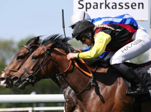 Maid of Dragon gewinnt turbulenten Sprint