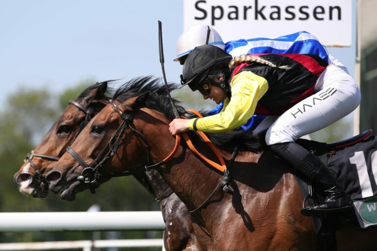 Maid of Dragon gewinnt turbulenten Sprint